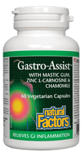 Natural Factors Gastro-Assist with Mastic-GumVegetarian Capsules - 60 veg capsules - YesWellness.com