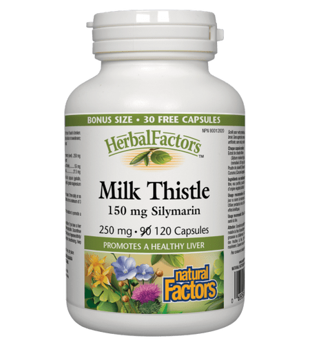 Natural Factors HerbalFactors Milk Thistle 150mg Silymarin Capsules - YesWellness.com