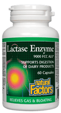 Natural Factors Lactase Enzyme Capsules- 60 Capsules - YesWellness.com