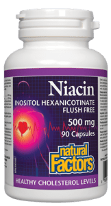 Natural Factors Niacin Inositol Hexanicotinate 500mg - 90 Capsules - YesWellness.com