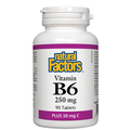 Natural Factors Vitamin B6 250mg Plus 50mg C Tablets - 90 Tablets - YesWellness.com