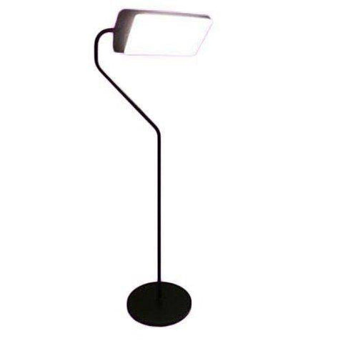 Northern Light Technologies Flamingo Floor Lamp - YesWellness.com