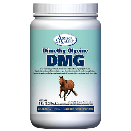 Omega Alpha Dimethyl Glycine (DMG) - YesWellness.com