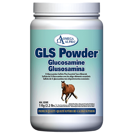 Omega Alpha GLS Powder Glucosamine 1kg - YesWellness.com