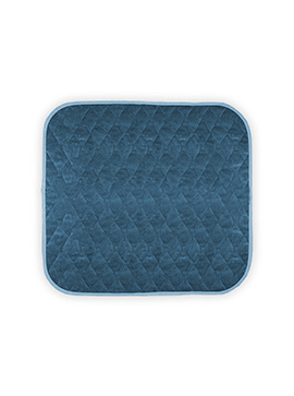 Priva Absorbent Washable Waterproof Seat Protector Pad Blue - YesWellness.com