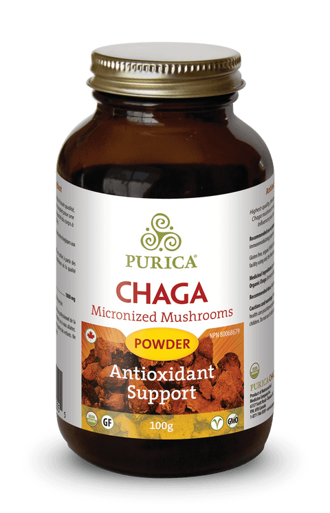 Purica Chaga Powder 100g - YesWellness.com