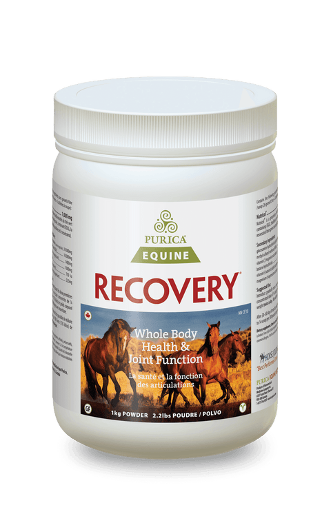 Purica Equine Recovery Powder - YesWellness.com