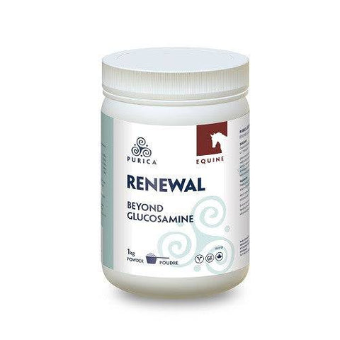 Expires May 2024 Clearance Purica Equine Renewal 1kg - YesWellness.com