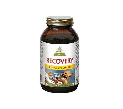 Purica Pet Recovery Extra Strength Chewable Tablets (Recovery SA) - YesWellness.com