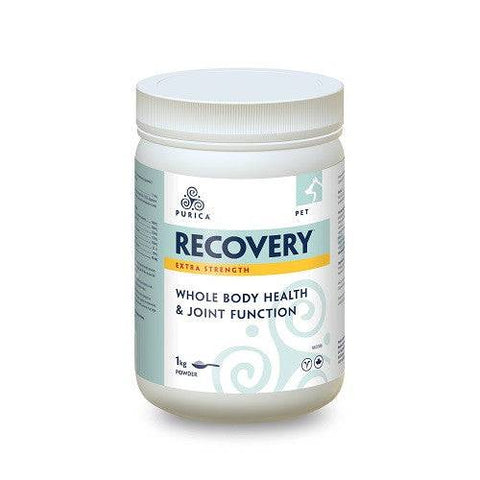 Expires June 2024 Clearance Purica Pet Recovery Extra Strength Powder 1kg (canine & feline) - YesWellness.com