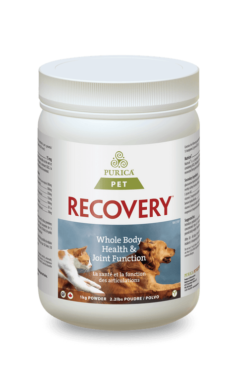 Purica Pet Recovery Powder Purica Recovery SA - YesWellness.com