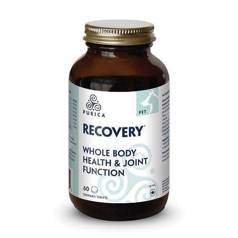 Purica Pet Recovery Whole Body Health & Join Function Chewable Tablets (Purica Recovery SA) - YesWellness.com