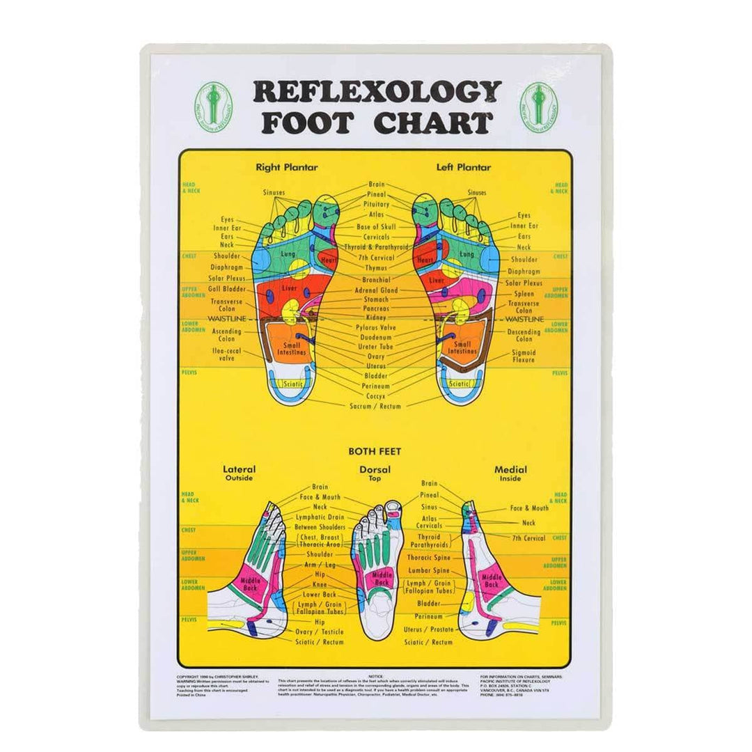 Relax Chart Relaxus Foot Reflexology Chart