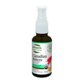 St. Francis Herb Farm Canadian Bitters Maple - Digestion Support