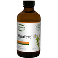 St. Francis Herb Farm Sinafect Sinus Support - Cough + Cold Tincture - YesWellness.com