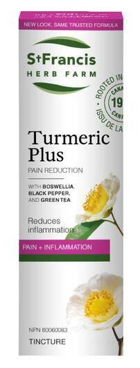 St. Francis Herb Farm Turmeric Plus Pain + Inflammation 50mL - YesWellness.com