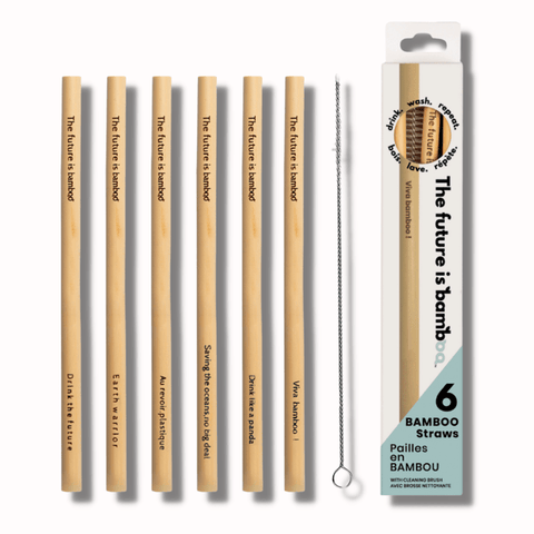 The Future is Bamboo - Bamboo Straws 6 Pack - YesWellness.com
