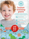 The Honest Company Honest Training Pants - Dinosaurs - YesWellness.com