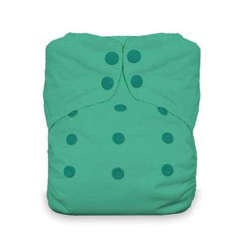 Thirsties Natural One Size All In One Snap - Seafoam One Size 8 - 40 lbs (4-16 kg) - YesWellness.com